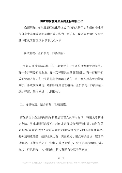 煤矿如何抓好安全质量标准化工作