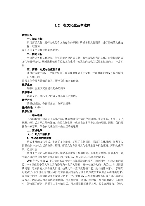 思想政治③必修8.2《在文化生活中选择》教案