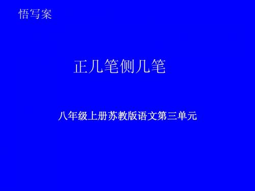 八上三单元微点作文：正几笔侧几笔