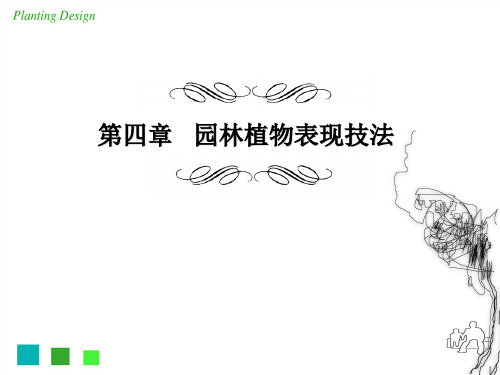园林植物表现技法PPT(62张)