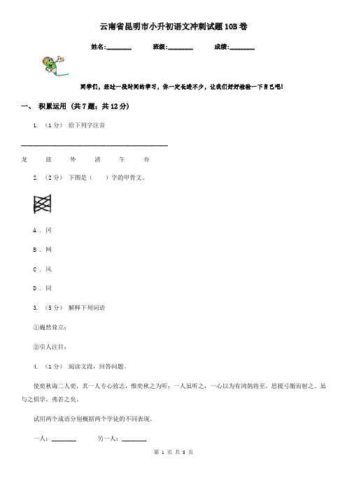 云南省昆明市小升初语文冲刺试题10B卷