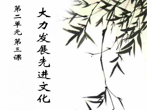 大力发展先进文化-粤教沪科版