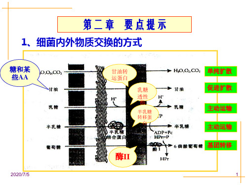 兽医微生物学课件：消毒、灭菌和生物安全【3】