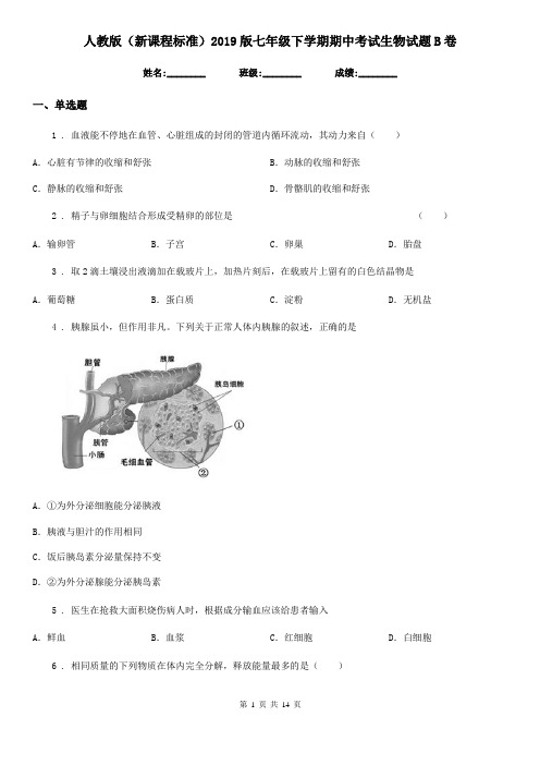 人教版(新课程标准)2019版七年级下学期期中考试生物试题B(练习)