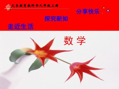 24.2.1 点与圆的位置关系