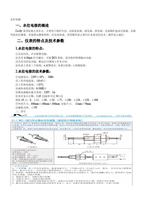 水位电极,超高纯水位电极,锅炉水位电极,电极式水位传感器