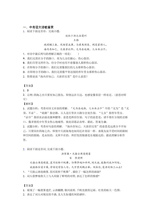 中考语文二模试题分类汇编——诗歌鉴赏综合及详细答案