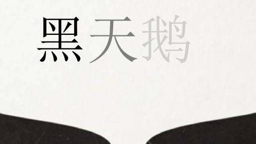 黑天鹅简介