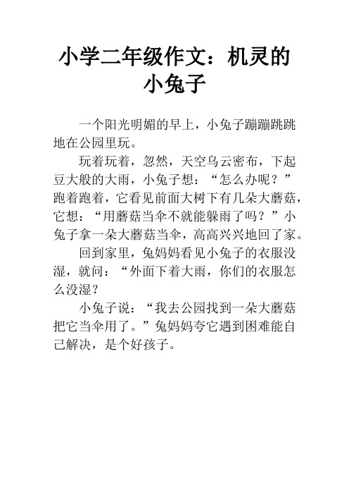 小学二年级作文：机灵的小兔子