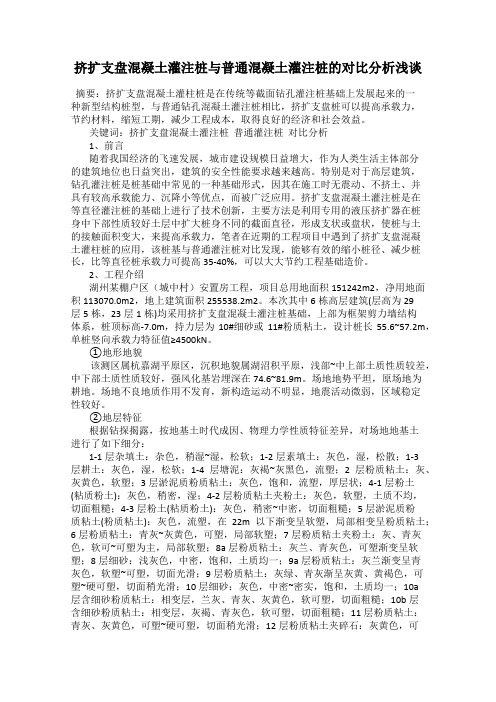 挤扩支盘混凝土灌注桩与普通混凝土灌注桩的对比分析浅谈