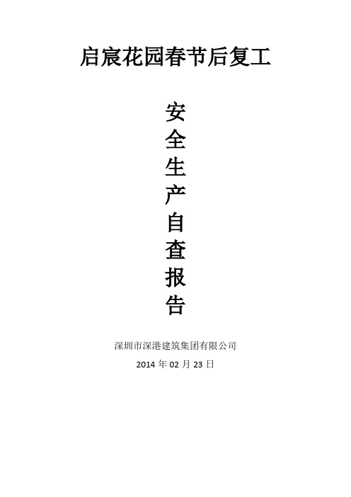 春节后复工安全生产自查报告