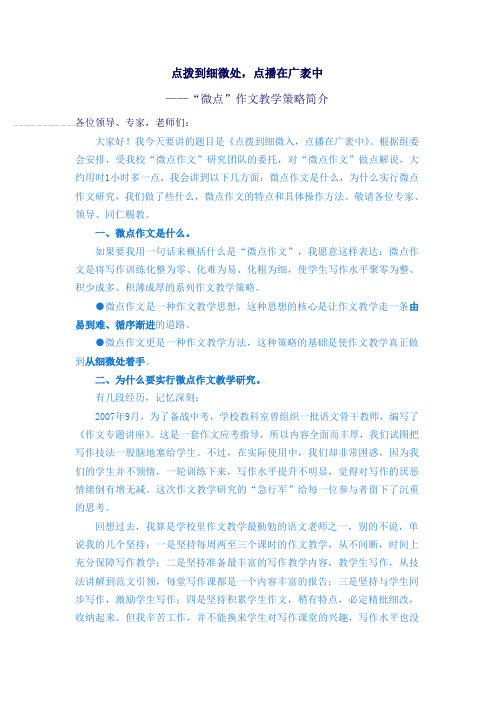 “微点”作文教学策略简介