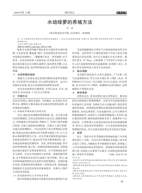 水培绿萝的养殖方法