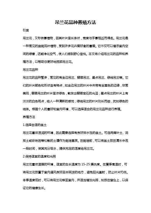 吊兰花品种养殖方法