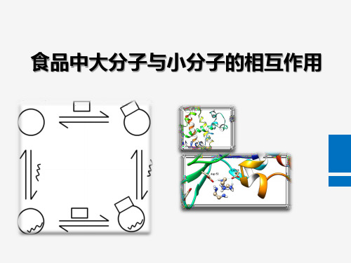 食品中大小分子互作用