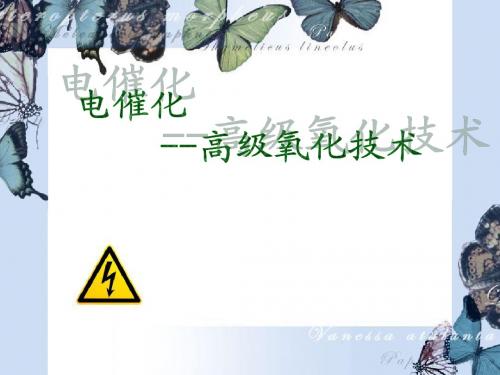 电催化