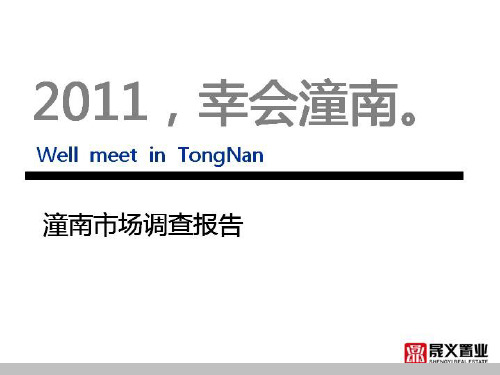 潼南市场调查报告 2019-42页