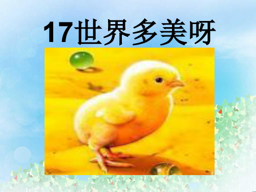 《世界多美呀》PPT4  图文