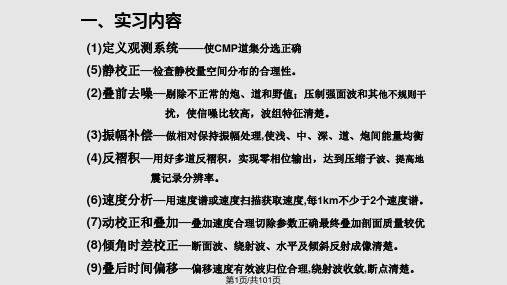 promax处理流程许辉群PPT课件