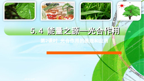 【一线精品】 人教版必修1 生物：5.4.2 光合作用的原理和应用 课件(共23张PPT)