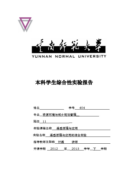 遥感综合实验报告