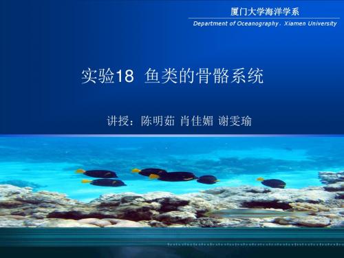 试验二鱼类的骨骼系统和肌肉系统-厦门大学海洋与地球学院