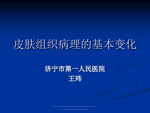 最新皮肤组织病理的基本变化