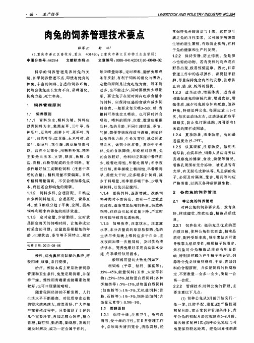 肉兔的饲养管理技术要点