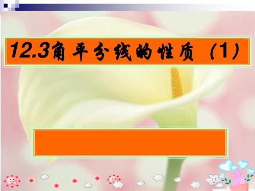 12.3角平分线的性质(1)