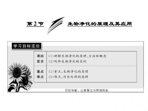 生物人教版选修2课件：4.2 生物净化的原理及其应用