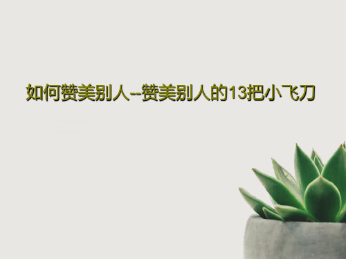 如何赞美别人--赞美别人的13把小飞刀26页PPT