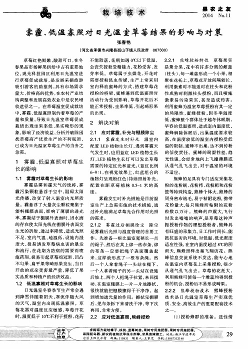 雾霾、低温寡照对日光温室草莓结果的影响与对策