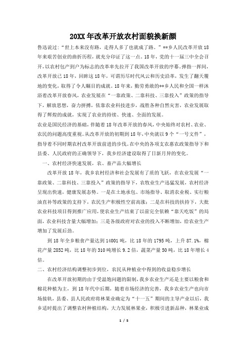 2019年改革开放农村面貌换新颜