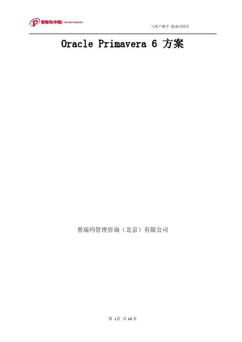 P6 PPM方案