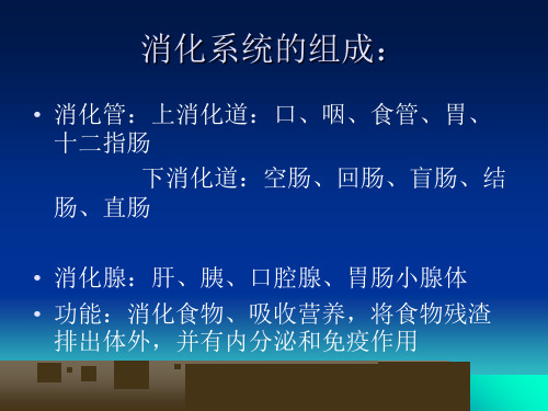 人体解剖学课件第八章消化系统-PPT课件