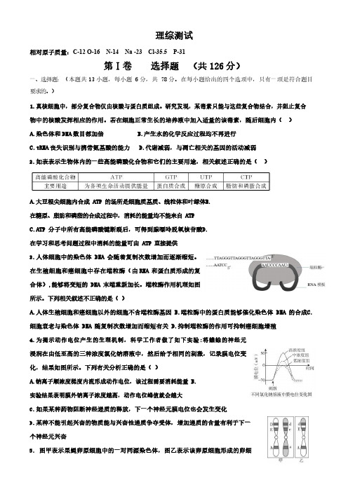 衡水中学第七次调研卷-理综