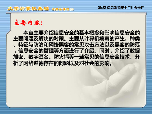 精选信息系统安全与社会责任