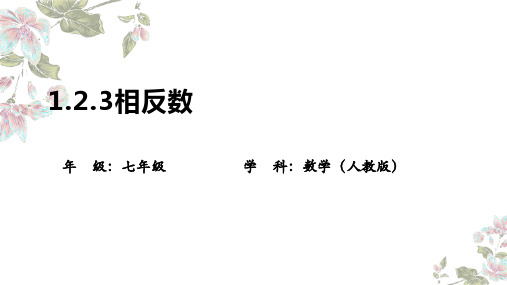 1.2.3相反数   课件 2024—2025学年人教版数学七年级上册
