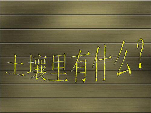 《土壤中有什么》PPT课件下载教科版小学1