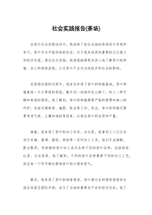 社会实践报告(茶场)