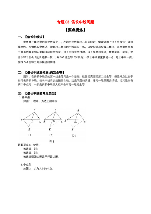 专题05 倍长中线问题(解析版)