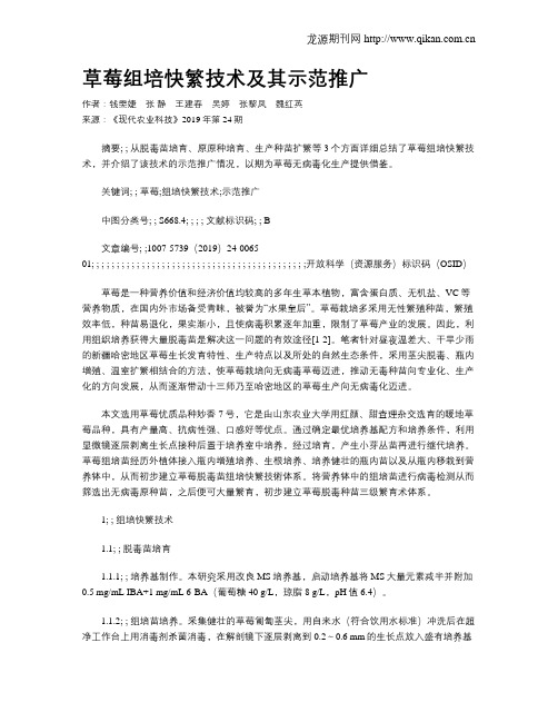 草莓组培快繁技术及其示范推广