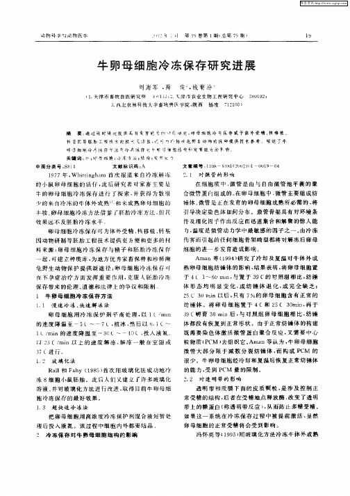 牛卵母细胞冷冻保存研究进展
