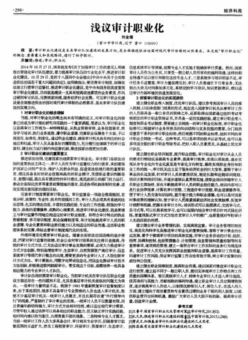 浅议审计职业化