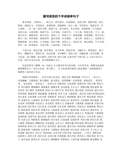 描写面的四个字词语和句子