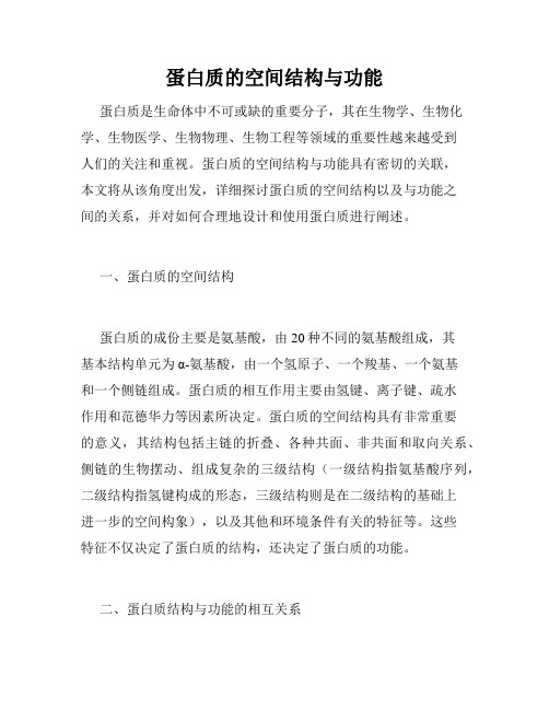 蛋白质的空间结构与功能