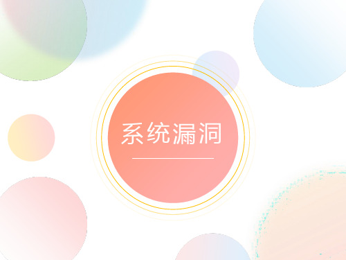 信息安全 常见的系统漏洞