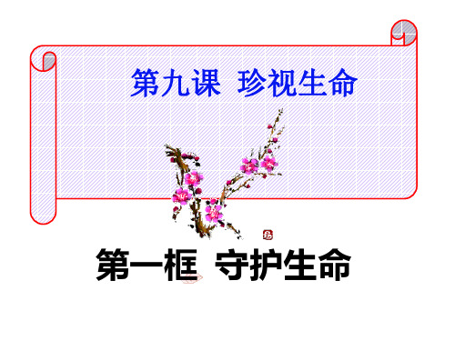 新人教版政治第九课珍视生命第一框《守护生命》PPT (4)