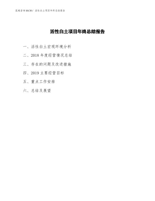 活性白土项目年终总结报告