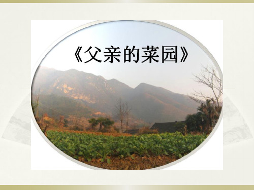 父亲的菜园ppt